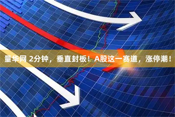 量华网 2分钟，垂直封板！A股这一赛道，涨停潮！