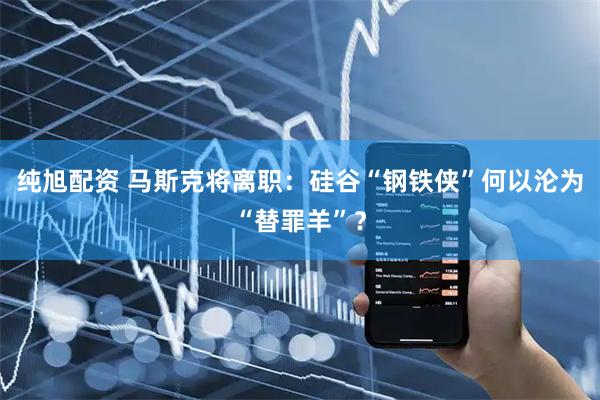 纯旭配资 马斯克将离职：硅谷“钢铁侠”何以沦为“替罪羊”？