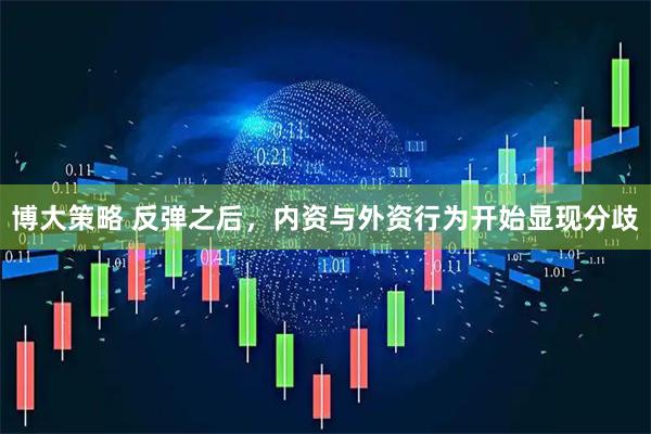 博大策略 反弹之后，内资与外资行为开始显现分歧