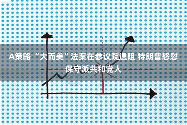 A策略 “大而美”法案在参议院遇阻 特朗普怒怼保守派共和党人