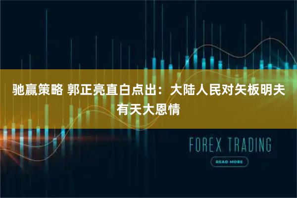 驰赢策略 郭正亮直白点出：大陆人民对矢板明夫有天大恩情